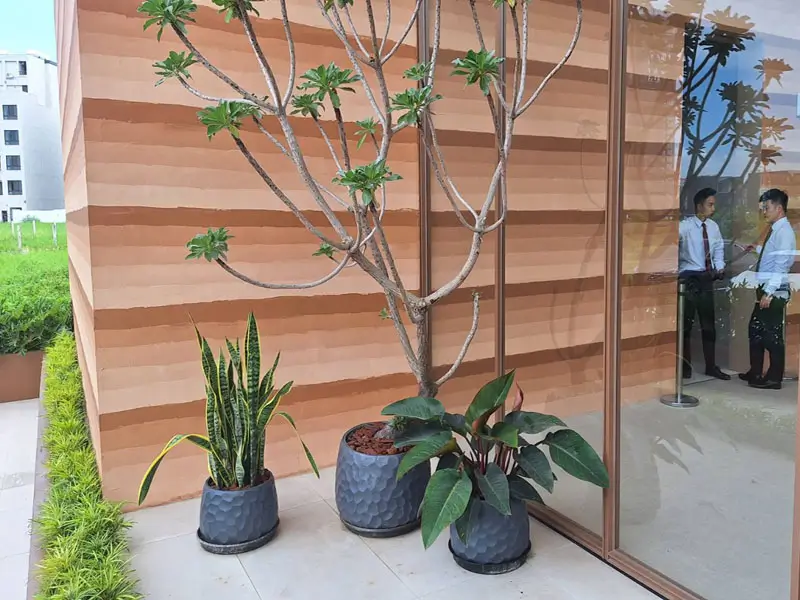 繽紛美羽盆-BF14346P29B_1