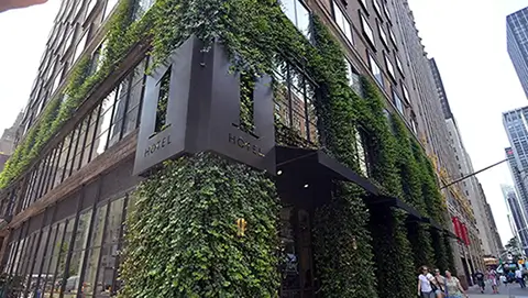 damos vida ao seu jardim