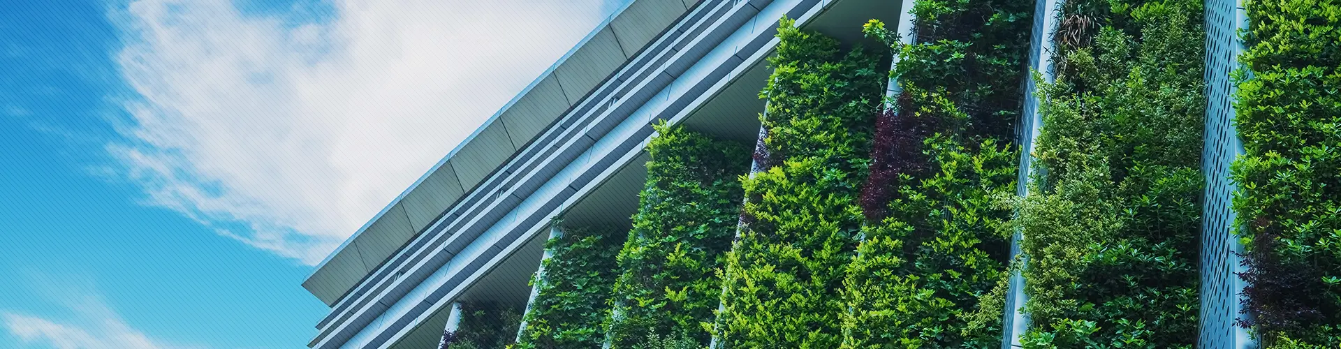 Bin Fen Landscape Material Co., Ltd.