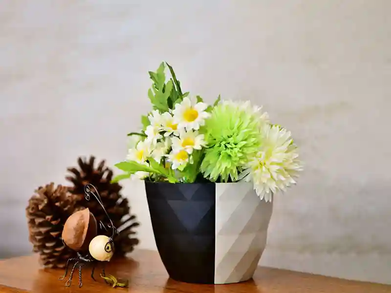 יצרני עציצים