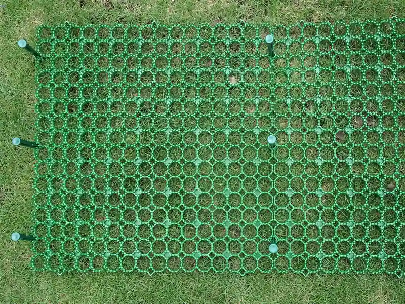 מגן דשא מפלסטיק