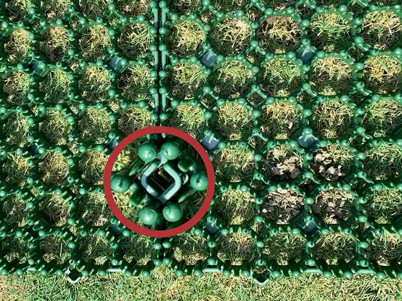 מגן דשא מפלסטיק