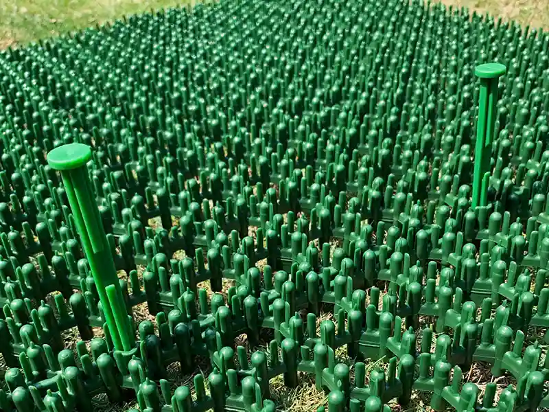 מגן דשא מפלסטיק