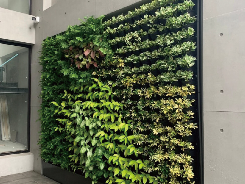 טאיוואן זרעון גן מאופף