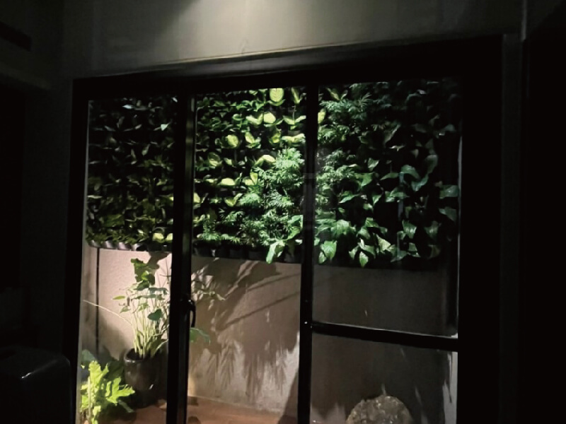 טאיוואן זרעון גן מאופף