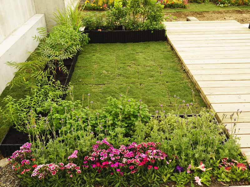 新竹-南大路活動中心