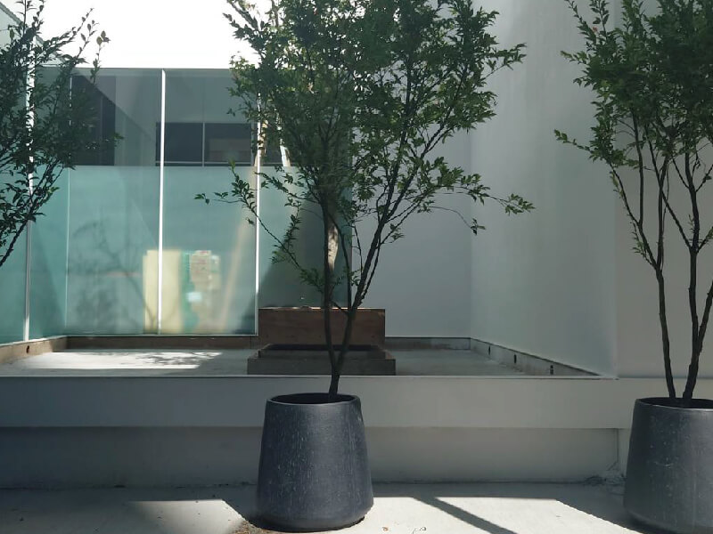 拾卉園藝-中山區招待所