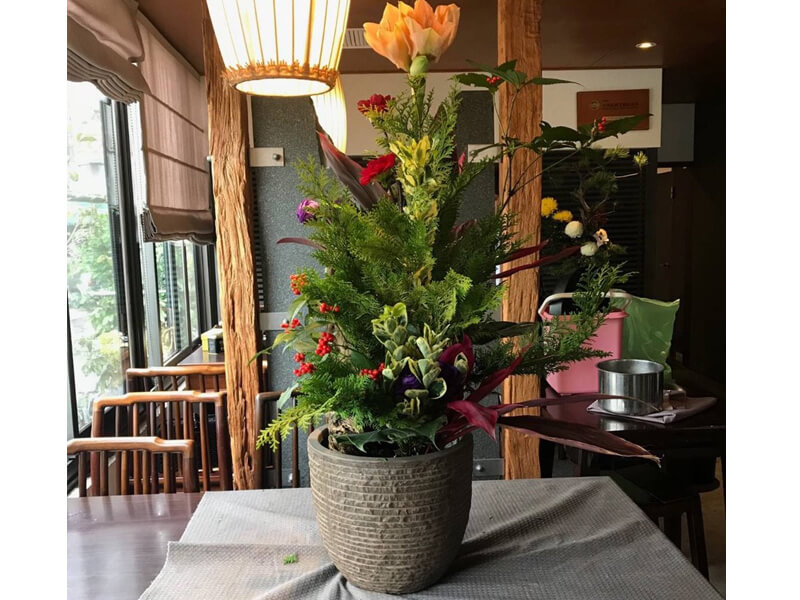 繽紛美羽盆-BF13962P158