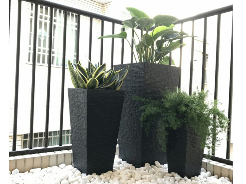 繽紛美羽盆-BF23915P37D