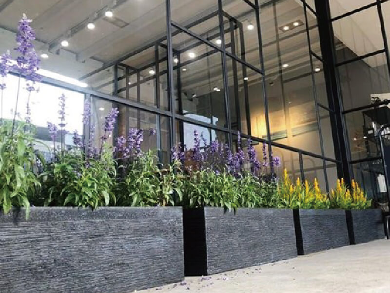 繽紛美羽盆-BF24121P37A