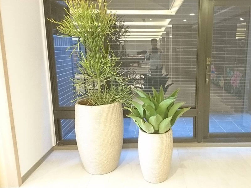 繽紛美羽盆-BF14434P197