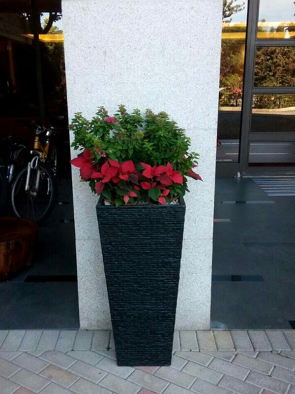 繽紛美羽盆-BF23915P129