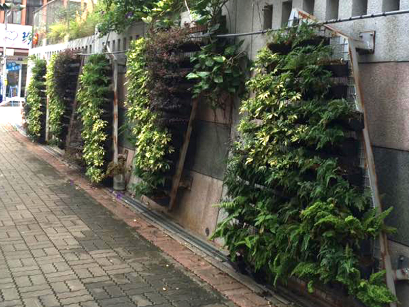 豐原-南陽國小外牆