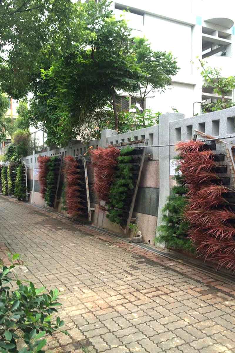 豐原-南陽國小外牆