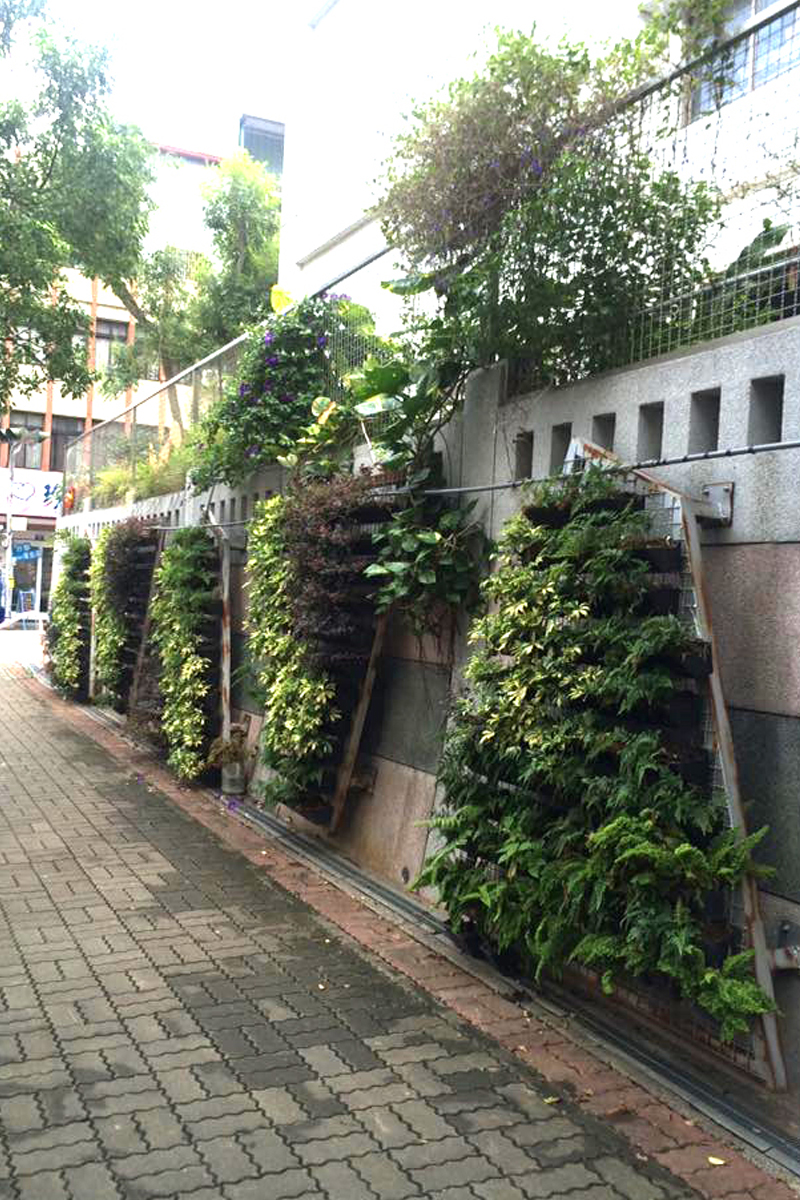 豐原-南陽國小外牆