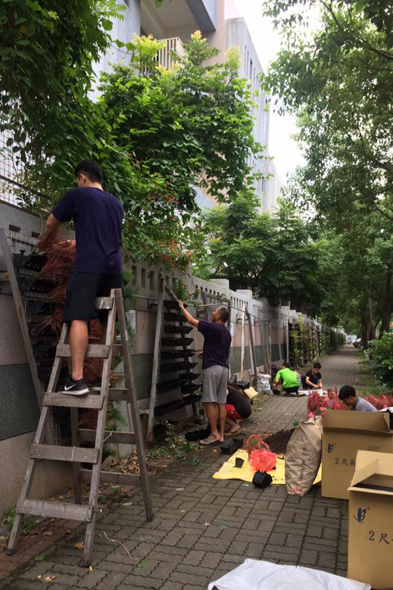 豐原-南陽國小外牆