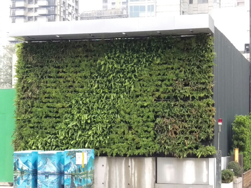 工地綠牆2