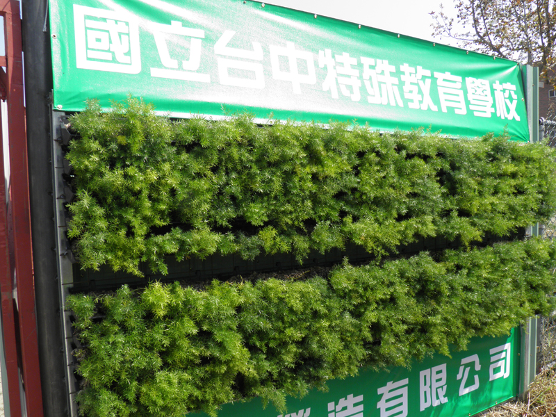 台中-特殊教育學校