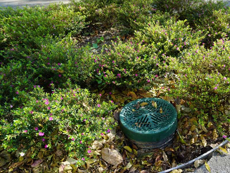 板橋遠東科技園區_1