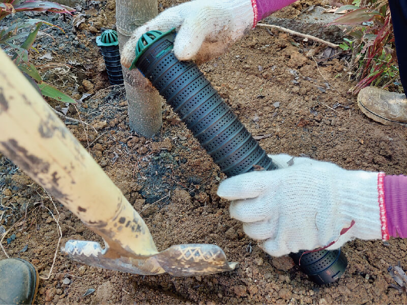 三義-西湖渡假村_1