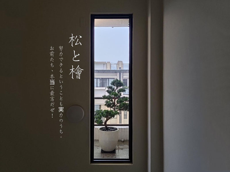 繽紛美羽盆-BF14130P66