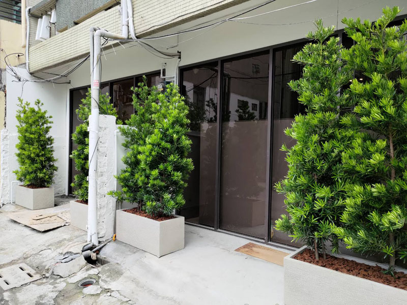 繽紛美羽盆-BF24122P66