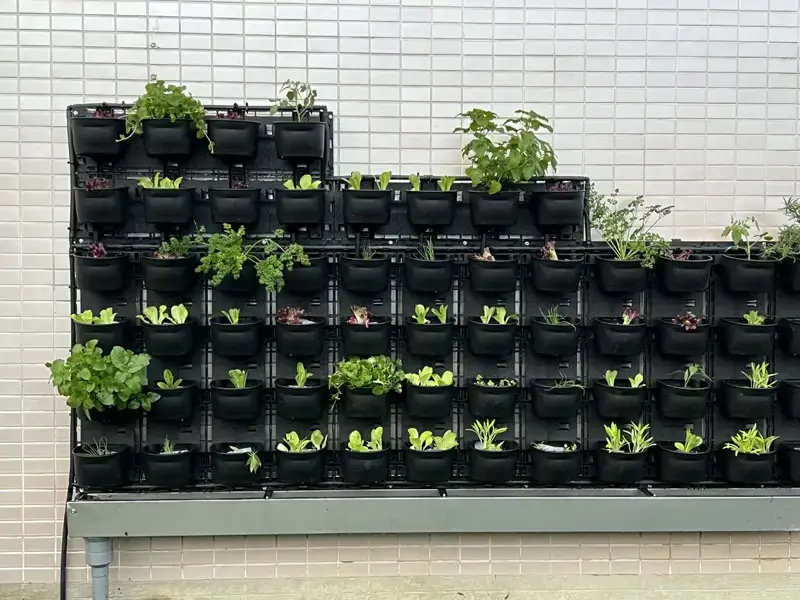 四孔支架豪華盆