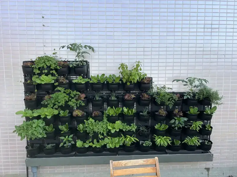 四孔支架豪華盆