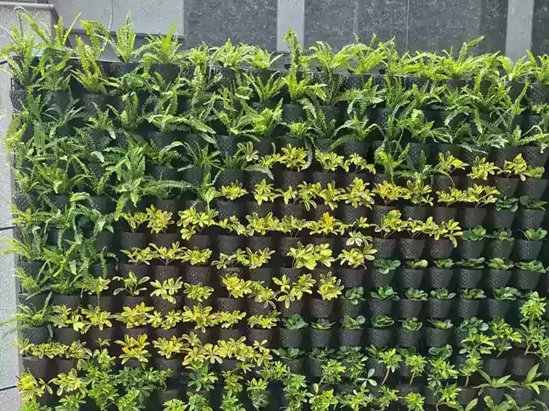 五孔支架空氣盆