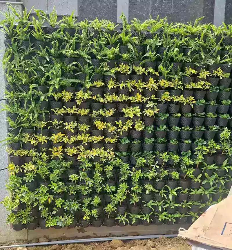 五孔支架空氣盆