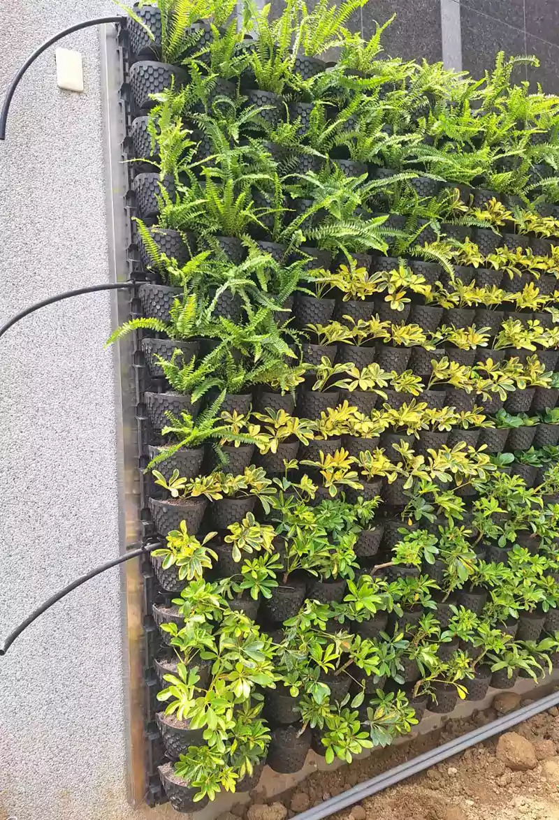 五孔支架空氣盆