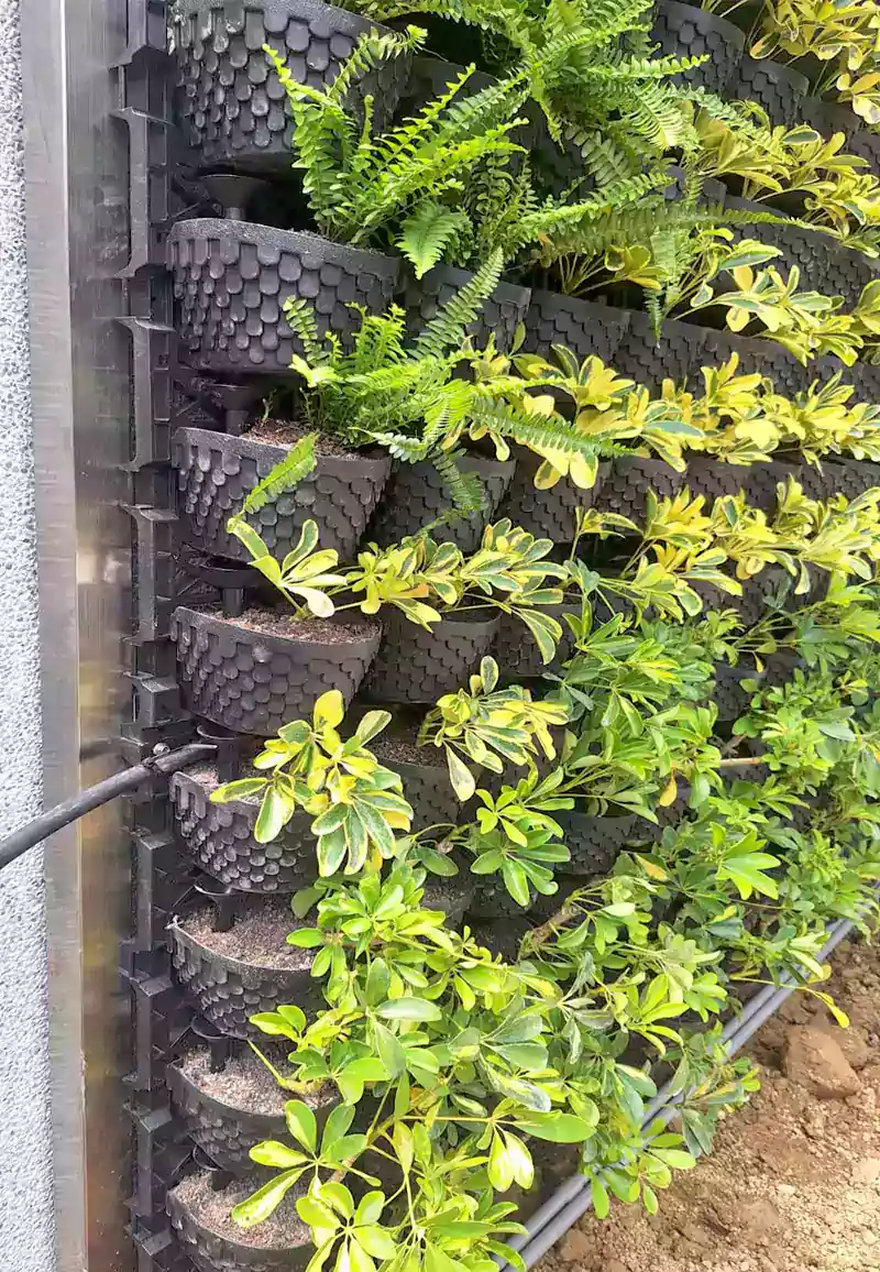 五孔支架空氣盆