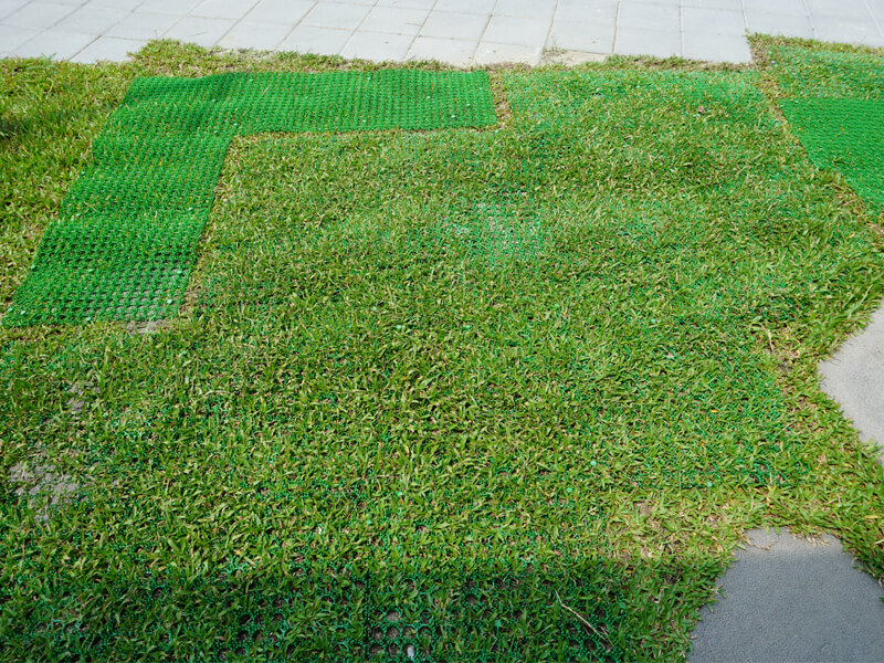 Pelouse-Protecteur-PE--2