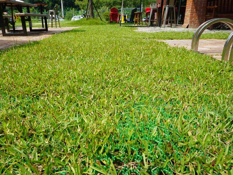 Pelouse-Protecteur-PE--2