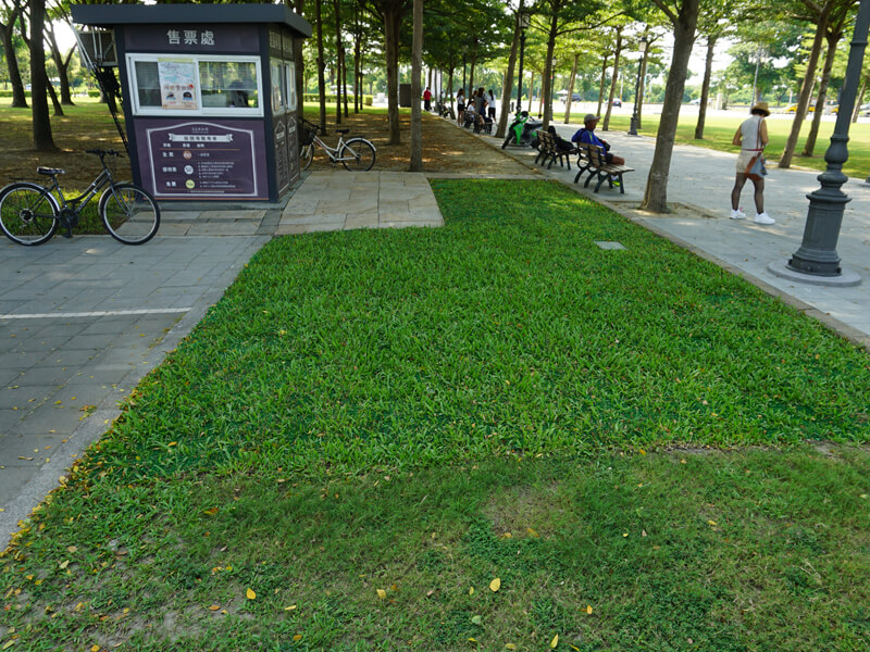 protetor de gramado (pe)-2