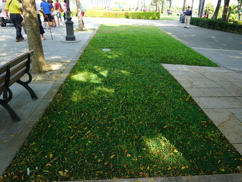 Protetor de gramado-PE