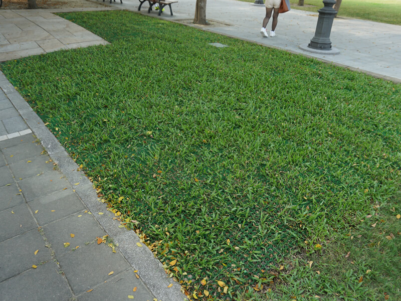 Protetor de gramado-PE