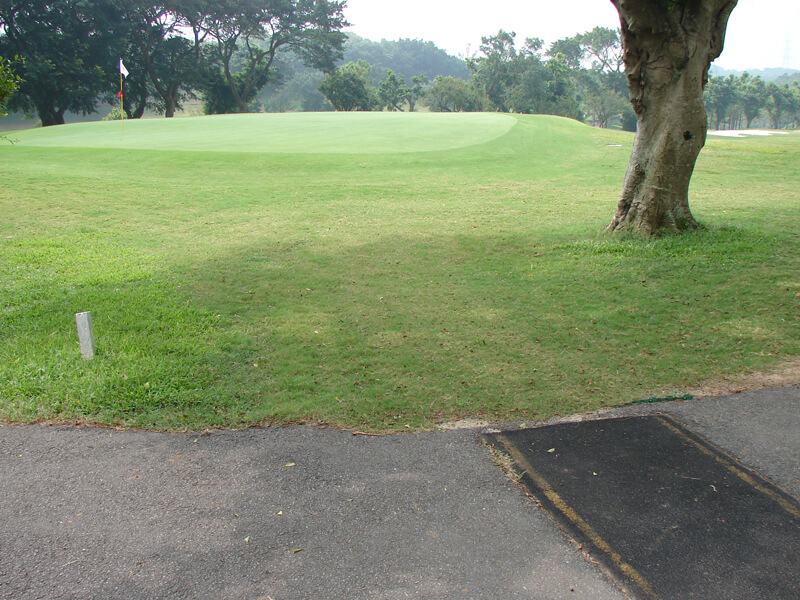 Protetor de gramado-PVC