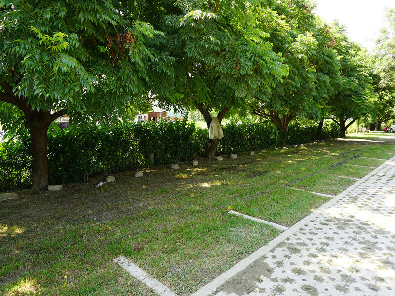 pavimentadora de grama de plástico-6