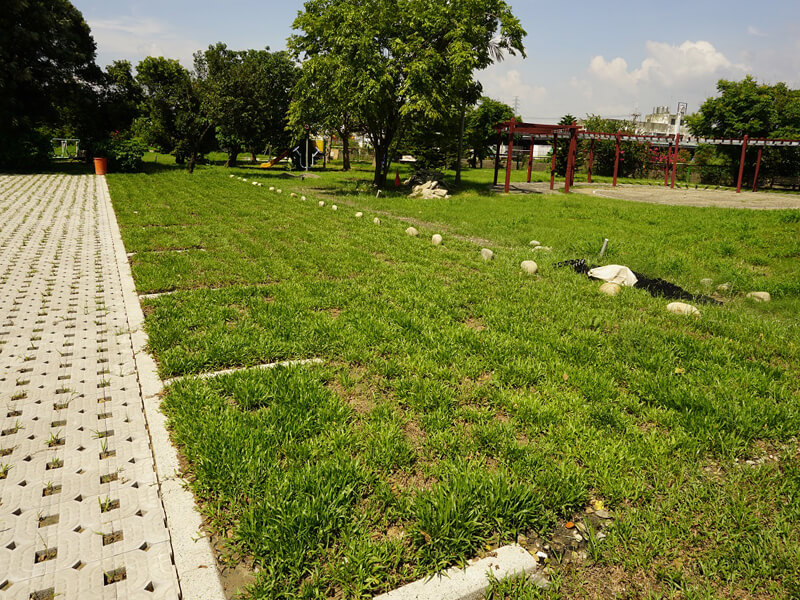 Plastic-gras-bestratingsafwerkmachines