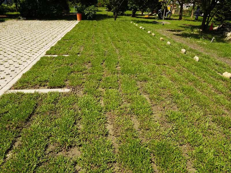 Plastic-gras-bestratingsafwerkmachines