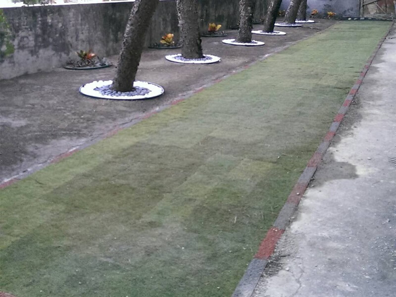 pavimentadora de grama de plástico-9