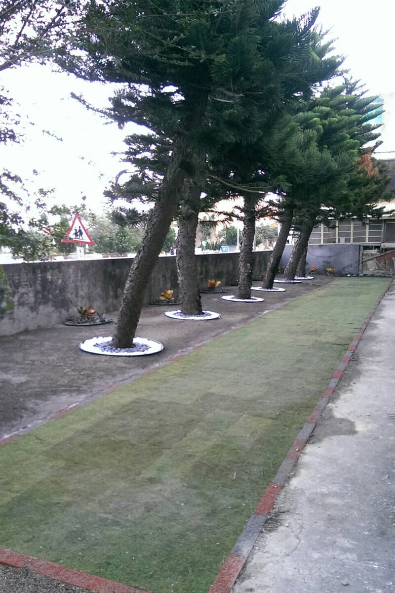 Plastic-gras-bestratingsafwerkmachines