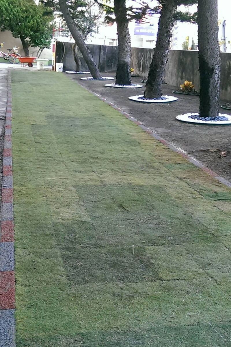 Plastic-gras-bestratingsafwerkmachines