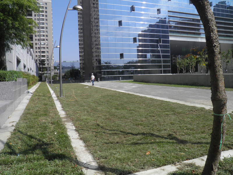 Pavé d'herbe en plastique long-10