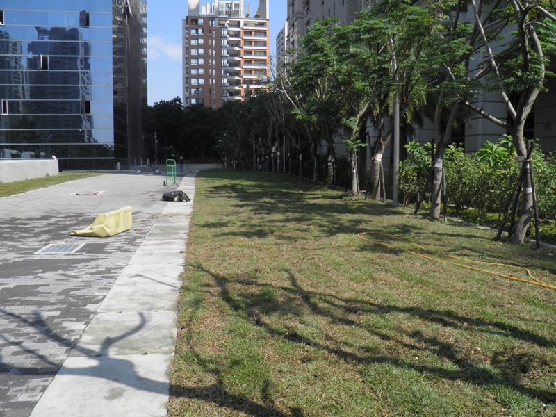 Pavé d'herbe en plastique long-10