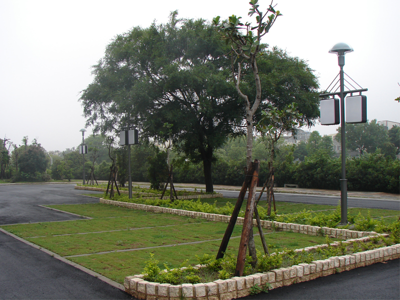 pavimentadora de grama de plástico-11