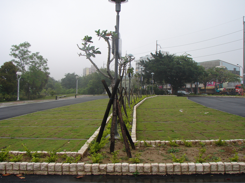 Pavé d'herbe en plastique-10