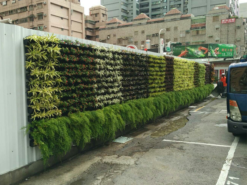 Longue suspension-10