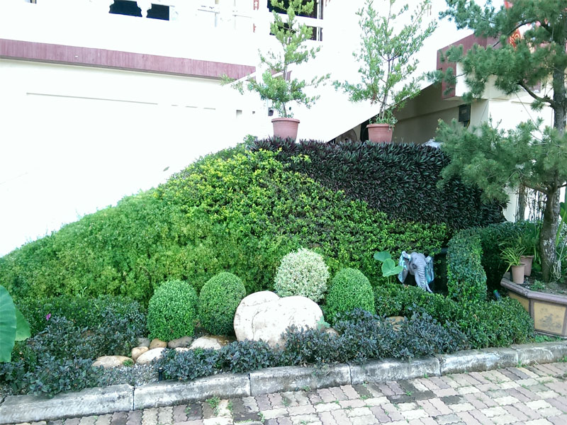 longue suspension-20